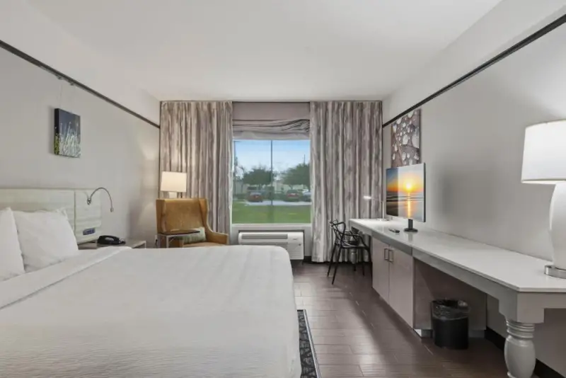 King Room